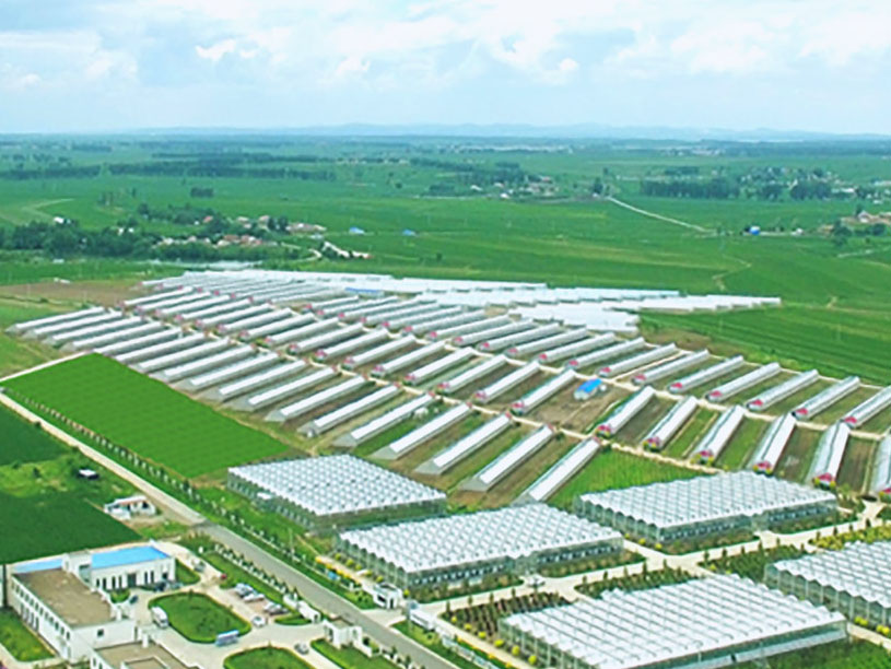 9001cc金沙以诚为本(中国)有限公司官网