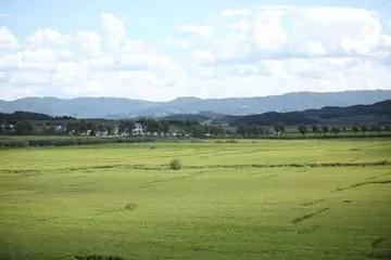 9001cc金沙以诚为本(中国)有限公司官网