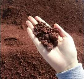 9001cc金沙以诚为本(中国)有限公司官网